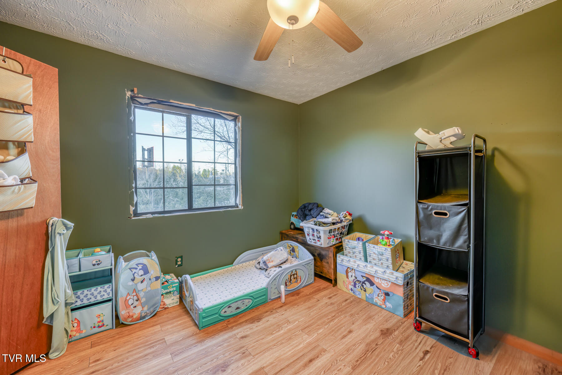 161 Baughard Hill Road, Mosheim, Tennessee image 19