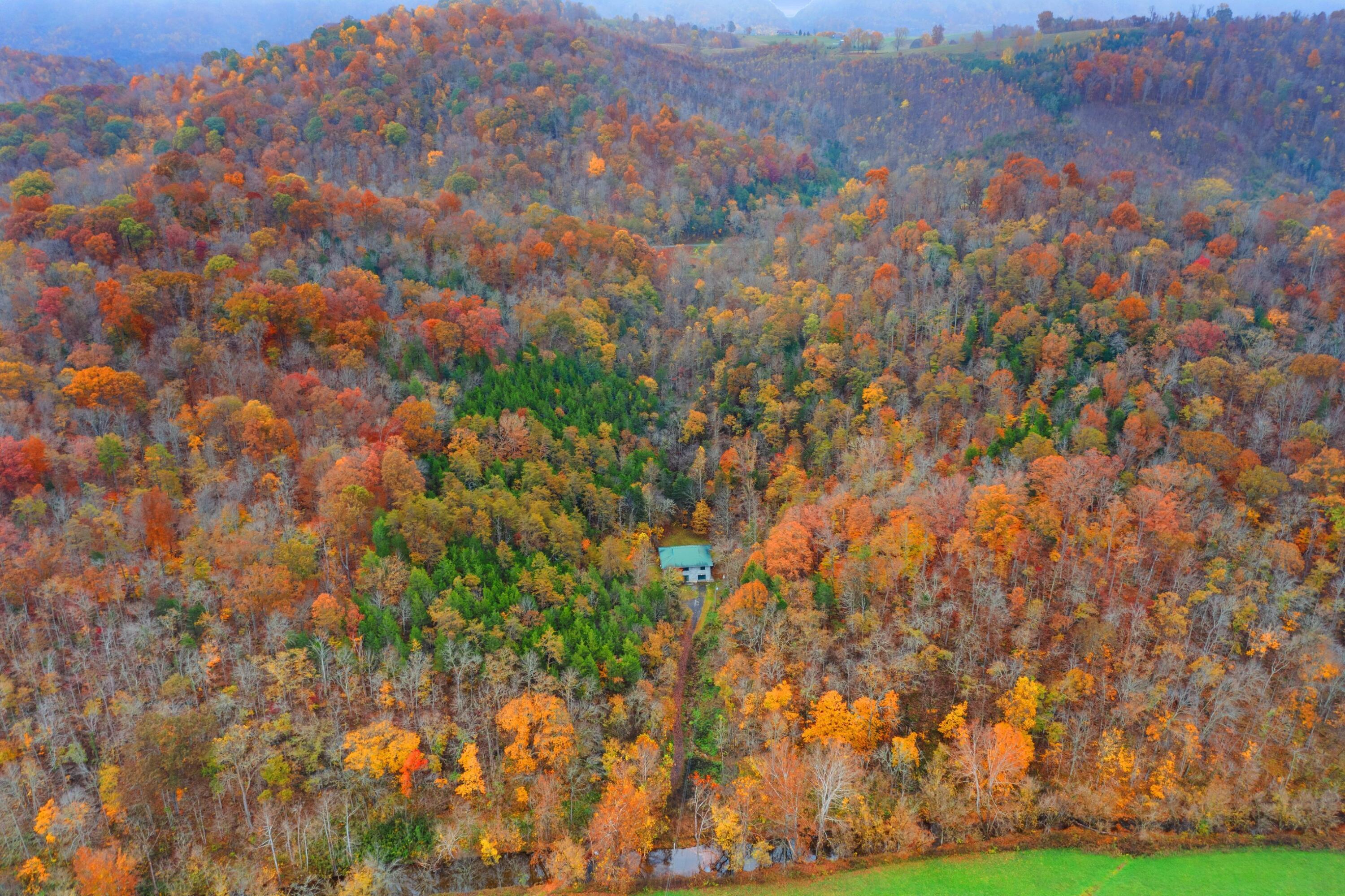 1650 Indian Creek Road, Thorn Hill, Tennessee image 31