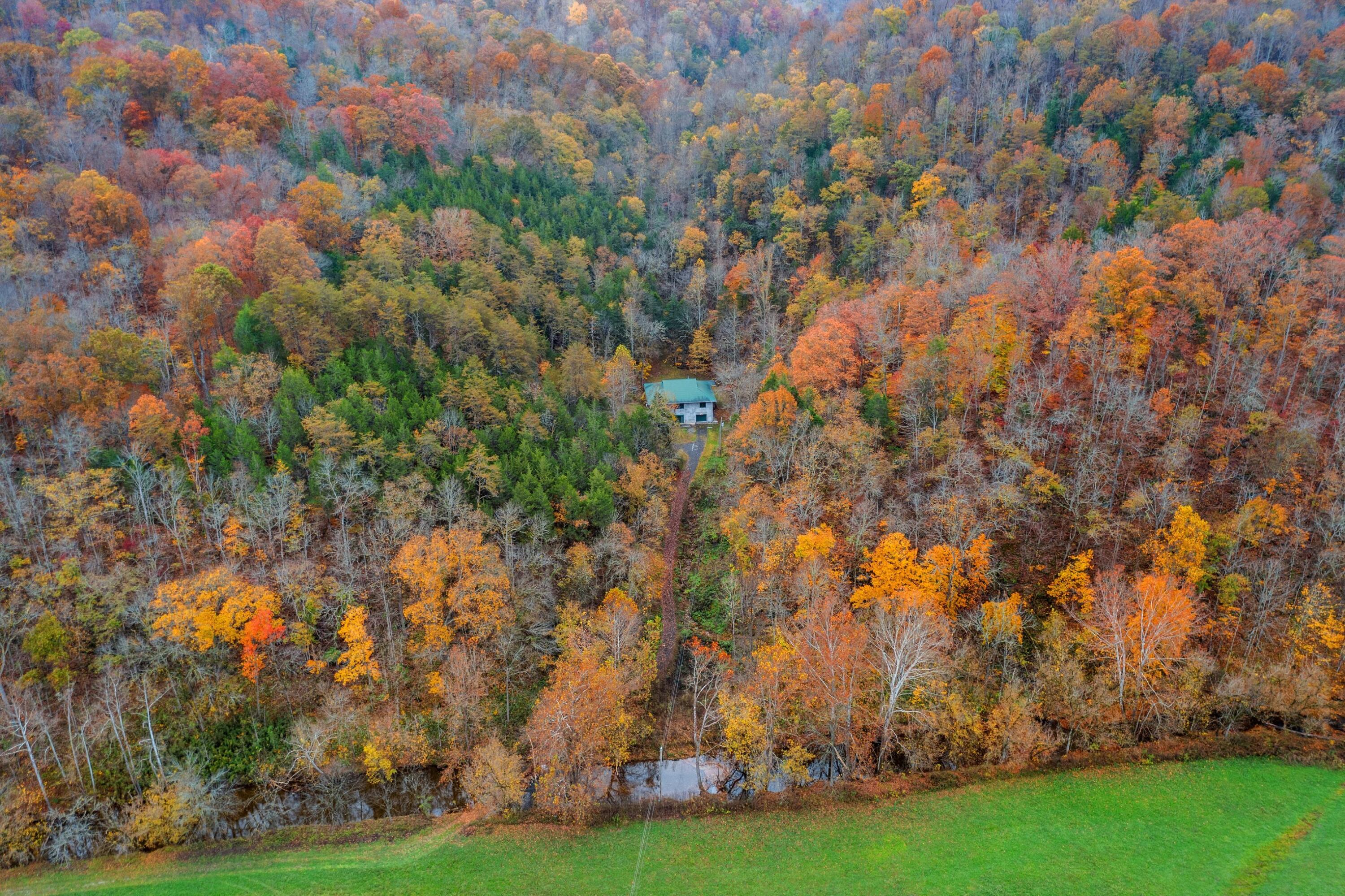 1650 Indian Creek Road, Thorn Hill, Tennessee image 30