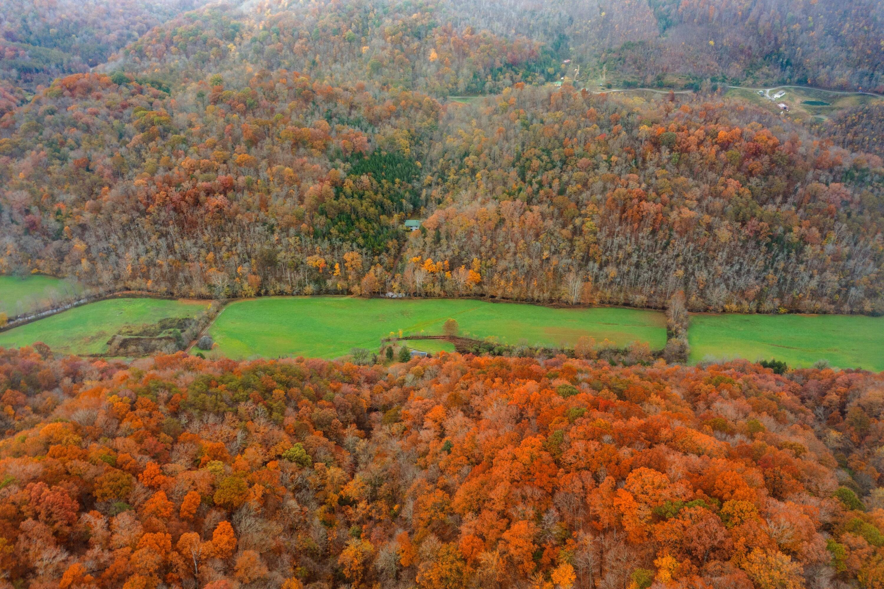 1650 Indian Creek Road, Thorn Hill, Tennessee image 36