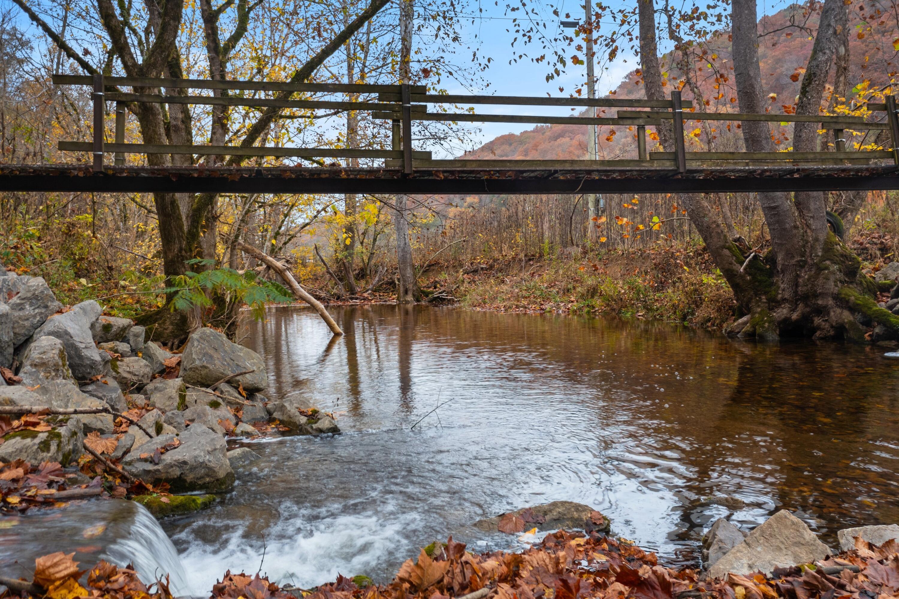 1650 Indian Creek Road, Thorn Hill, Tennessee image 42