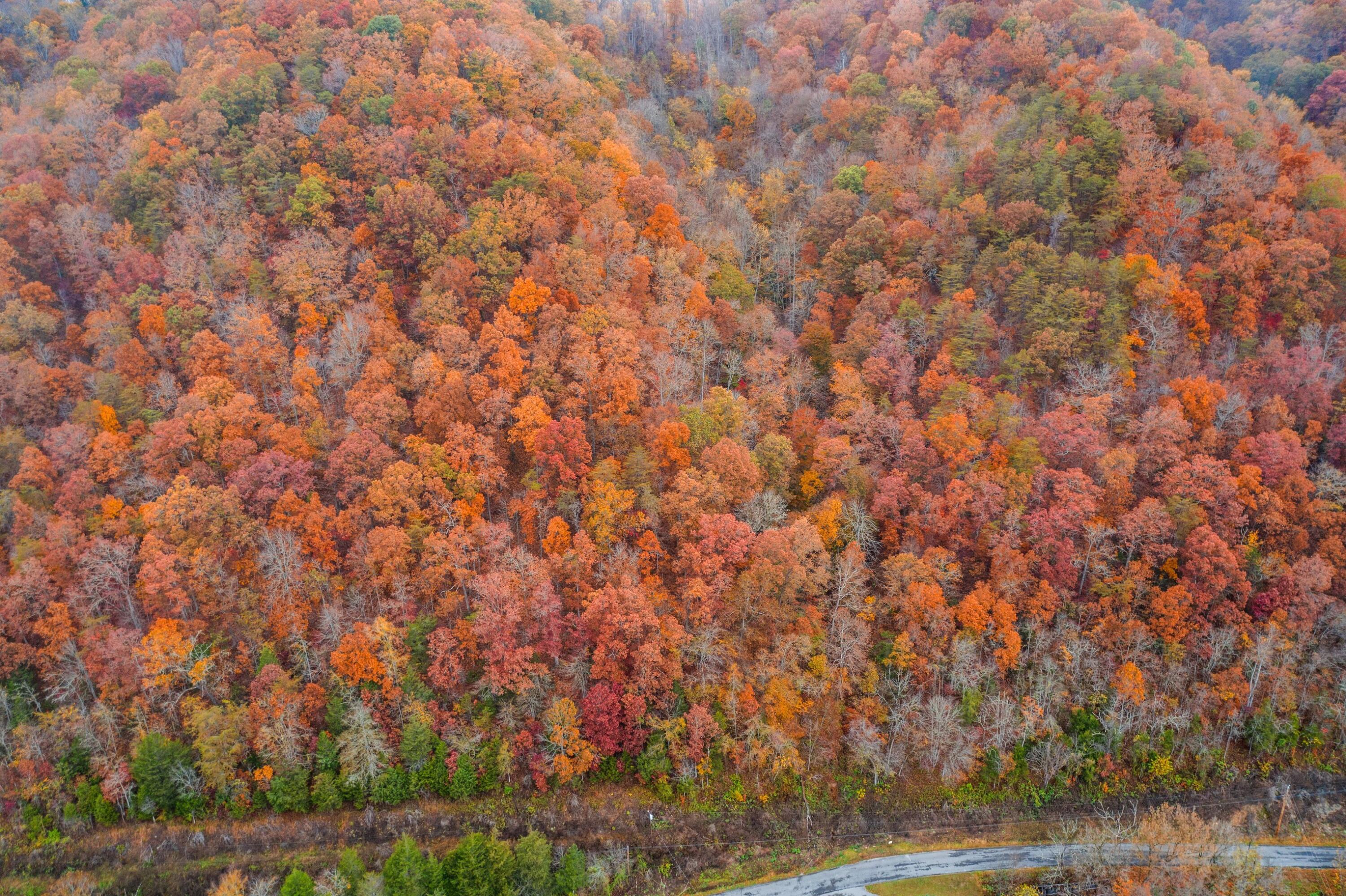 1650 Indian Creek Road, Thorn Hill, Tennessee image 39