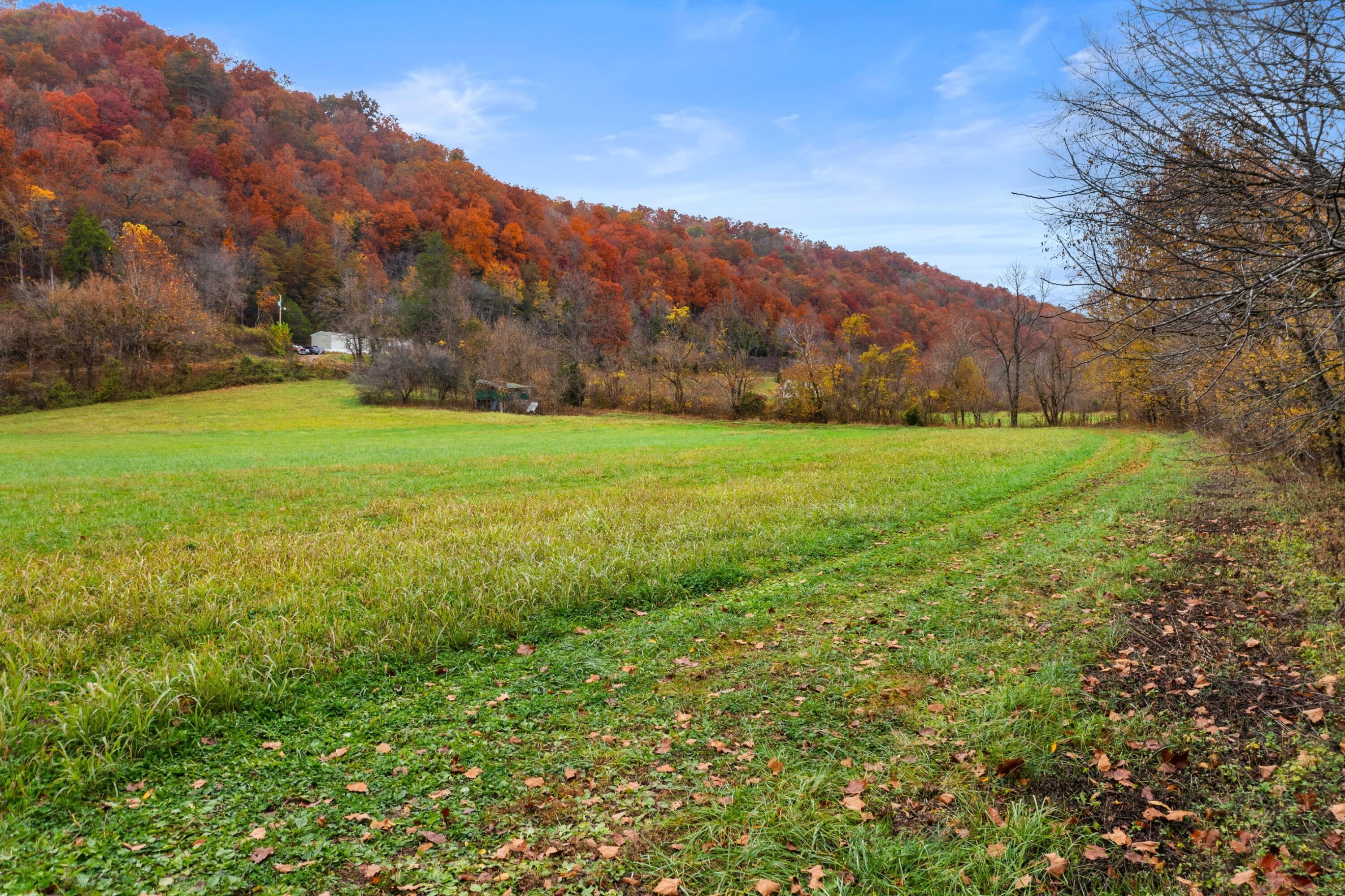 1650 Indian Creek Road, Thorn Hill, Tennessee image 43