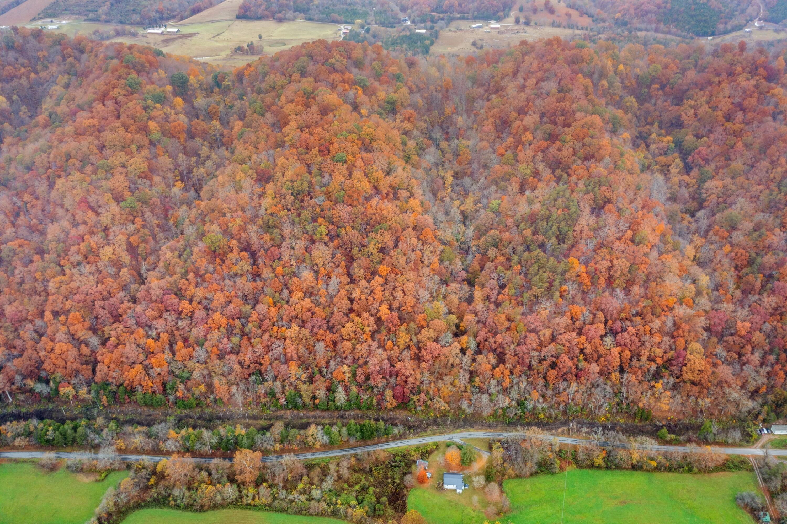 1650 Indian Creek Road, Thorn Hill, Tennessee image 35