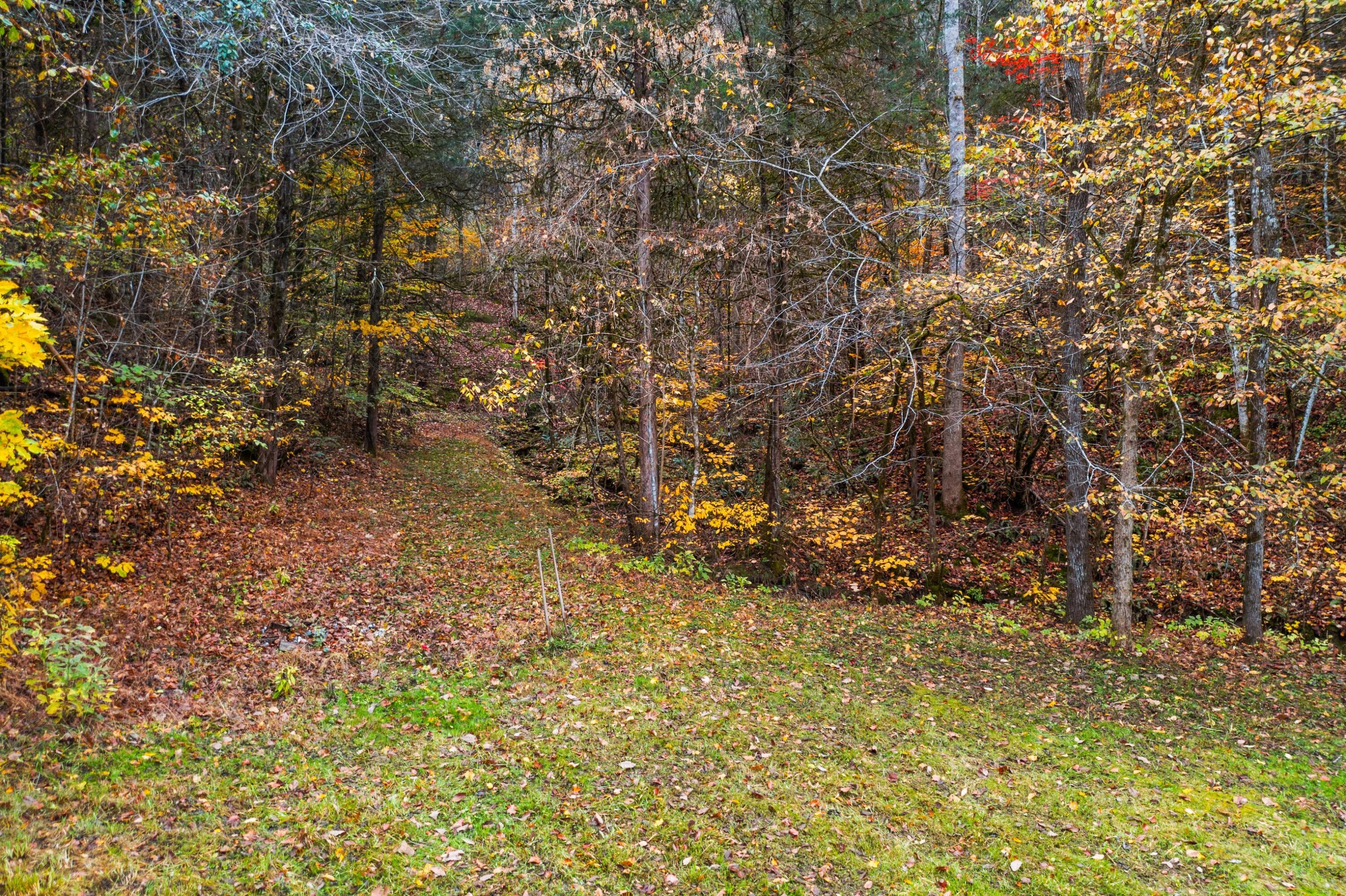 1650 Indian Creek Road, Thorn Hill, Tennessee image 25
