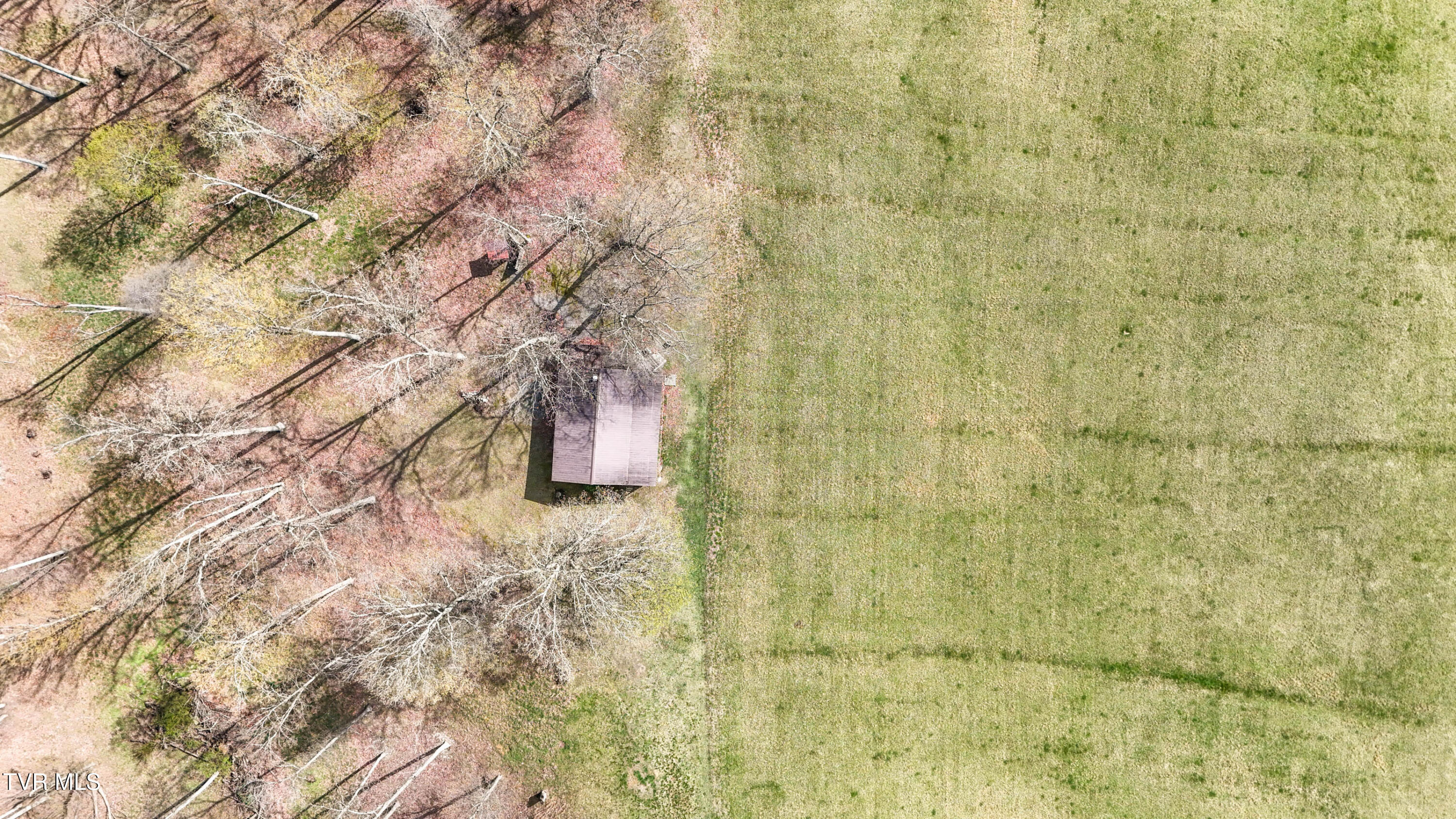 Tbd Young Dr, Bristol, Virginia image 10