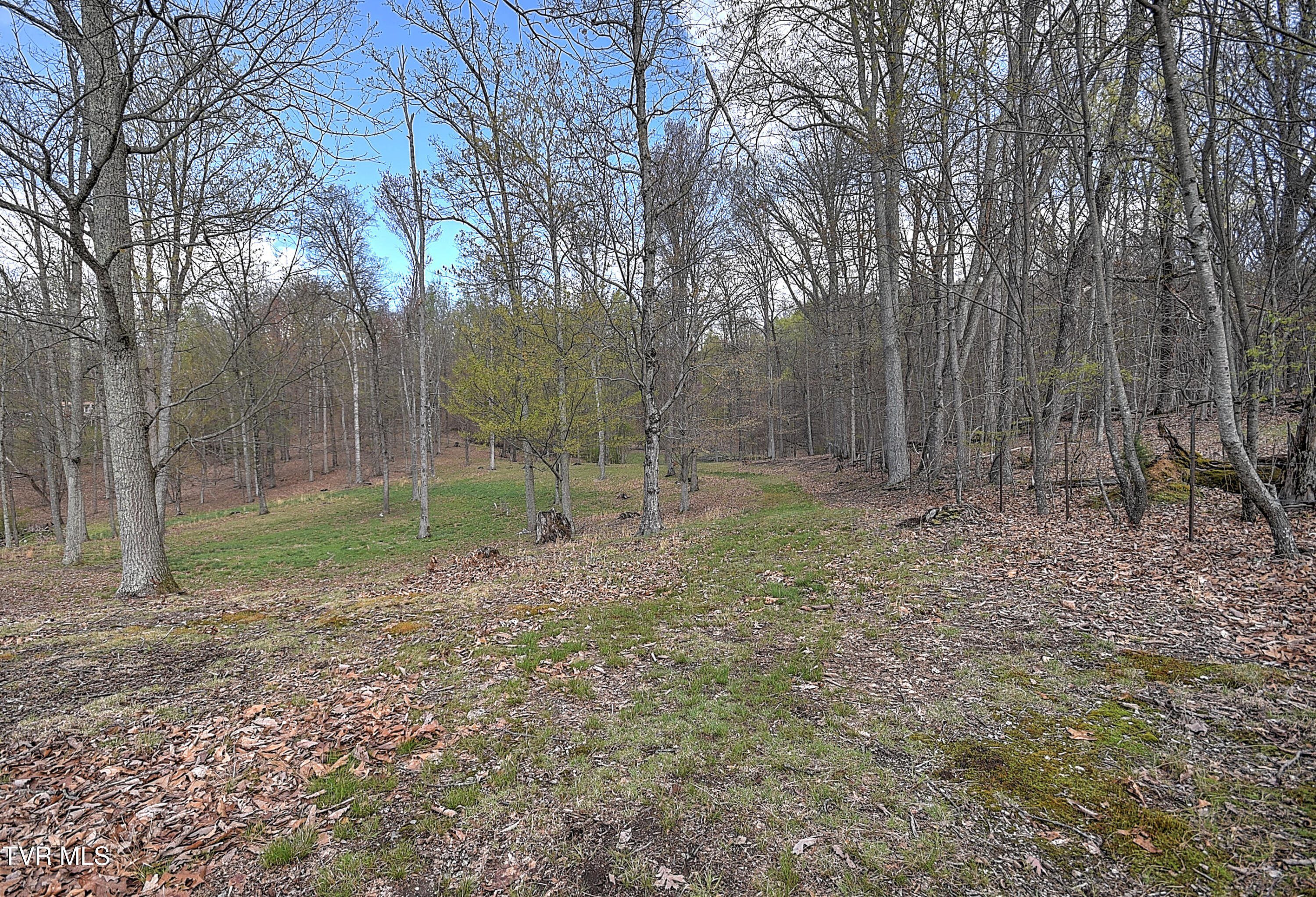 Tbd Young Dr, Bristol, Virginia image 33