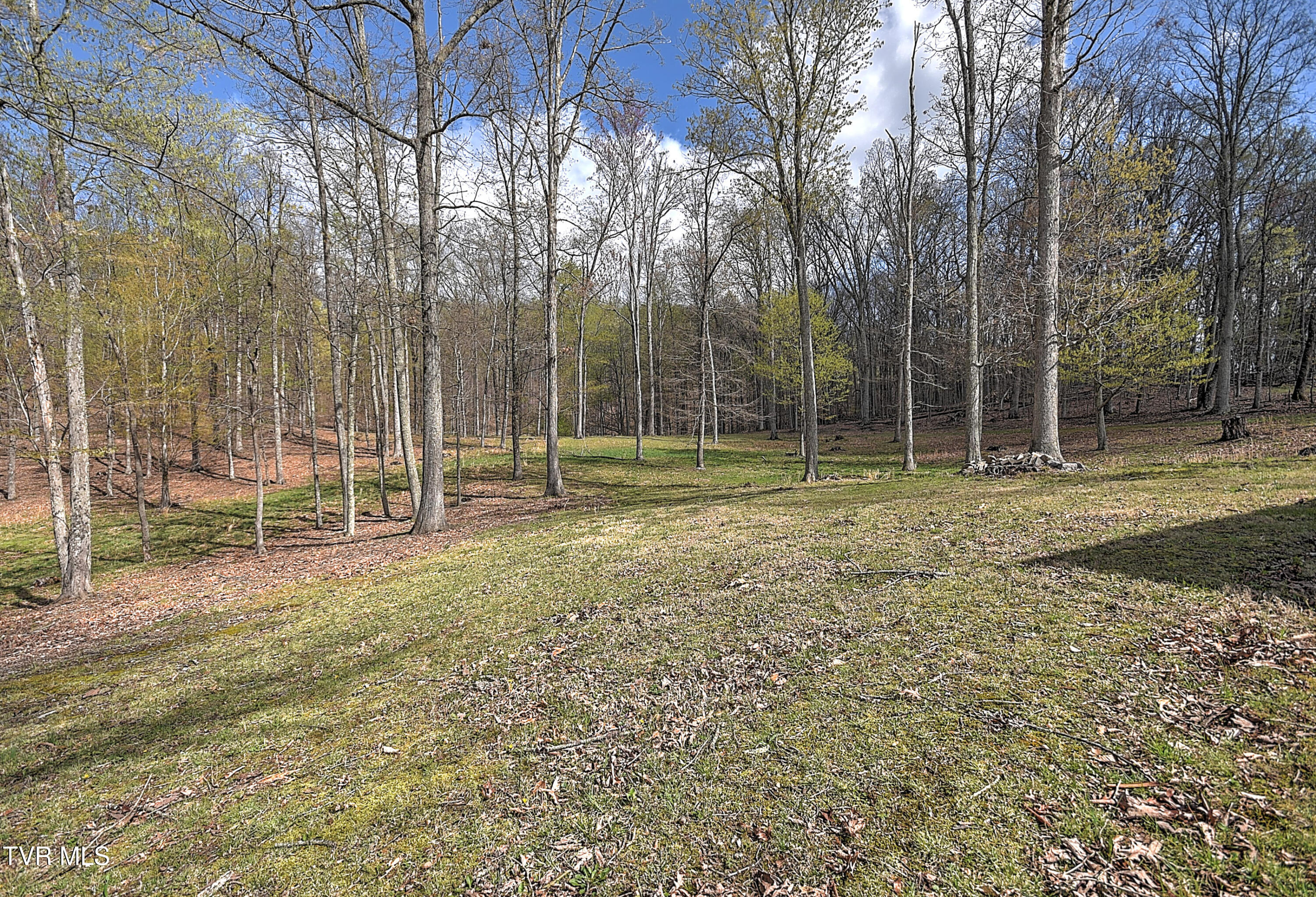 Tbd Young Dr, Bristol, Virginia image 48