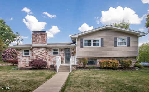 Photo of 105 Dale Place, Bristol, TN 37620 (MLS # 9994946)