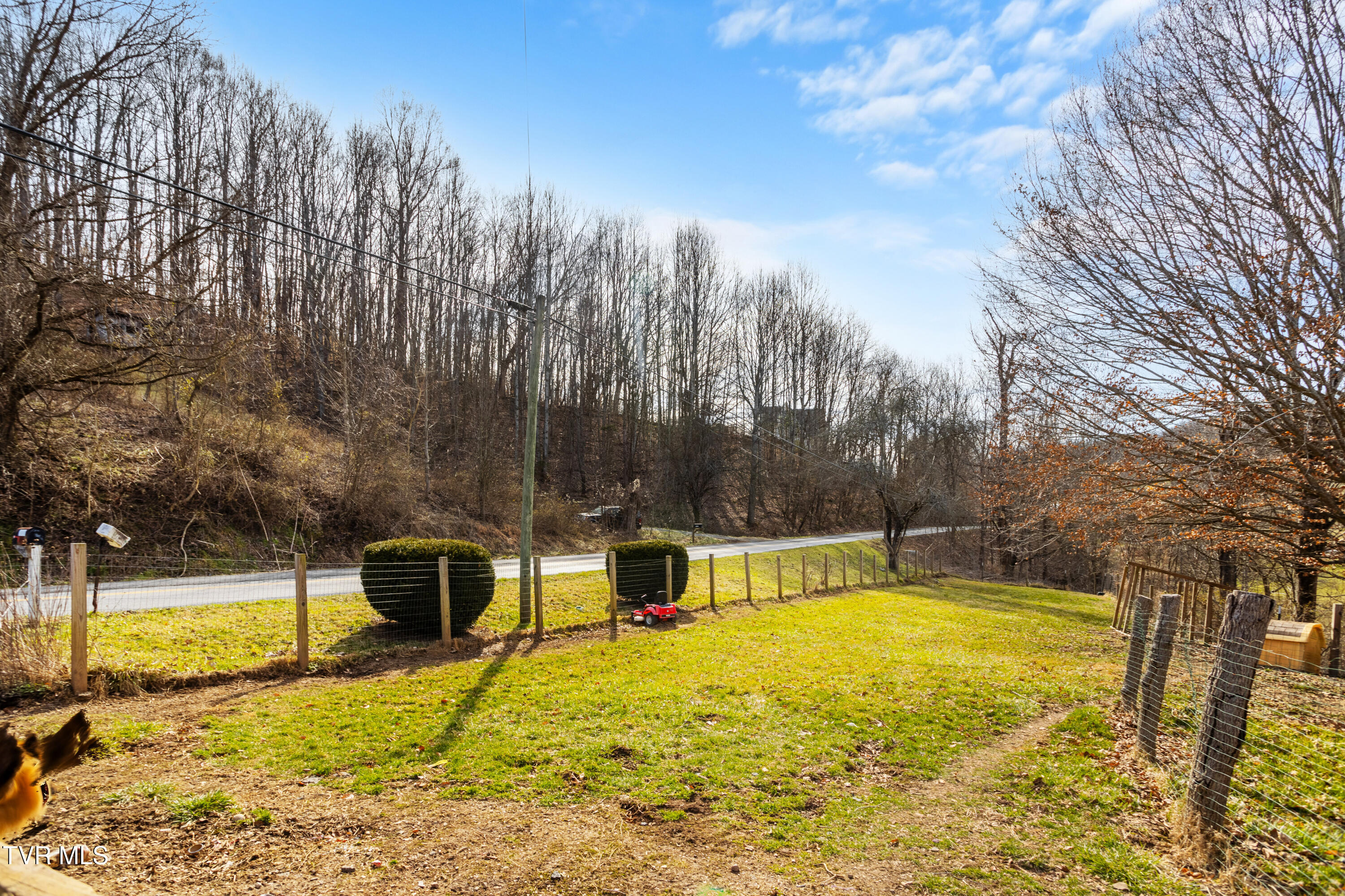 28585 Smyth Chapel Road, Meadowview, Virginia image 12