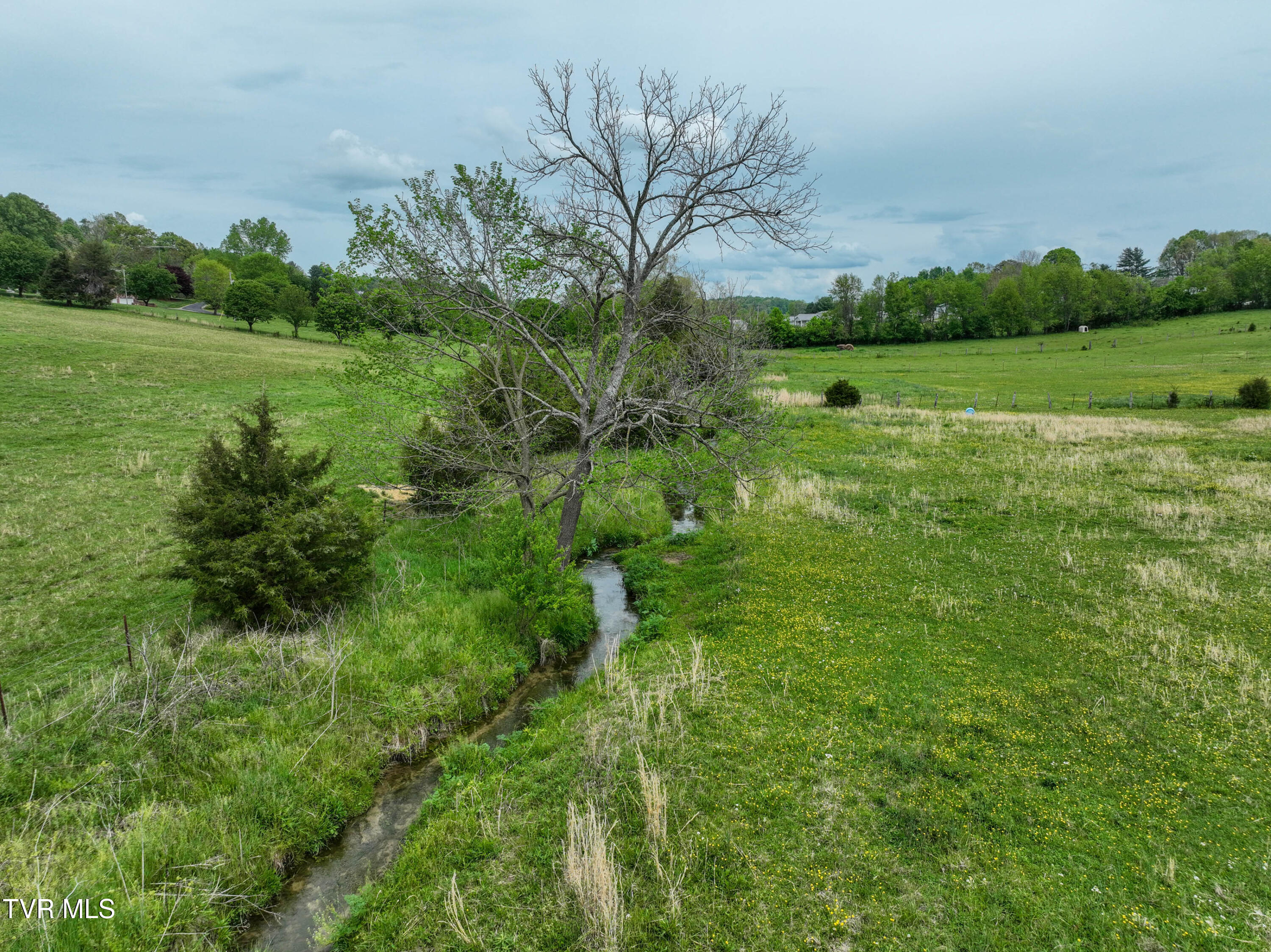 127 Gillette Road, Jonesborough, Tennessee image 42