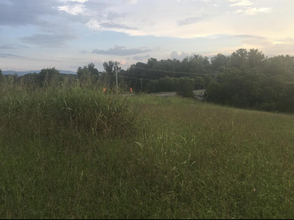 Tbd Country Village Dr, Limestone, Tennessee image 3