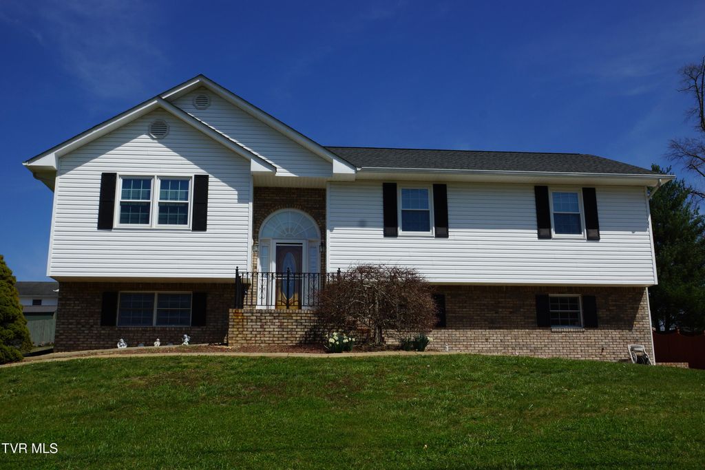 Photo of 128 Meadow Springs Lane, Mount Carmel, TN 37645 (MLS # 9992845)