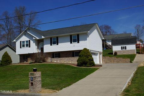 Photo of 128 Meadow Springs Lane, Mount Carmel, TN 37645 (MLS # 9992845)