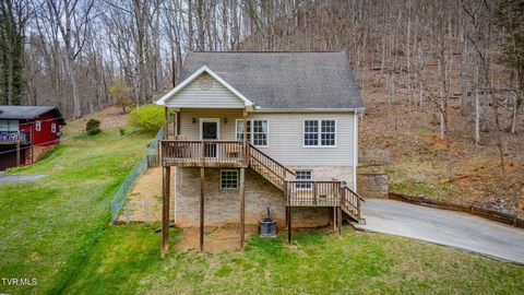 Photo of 1214 Independence Avenue, Mount Carmel, TN 37645 (MLS # 9993165)