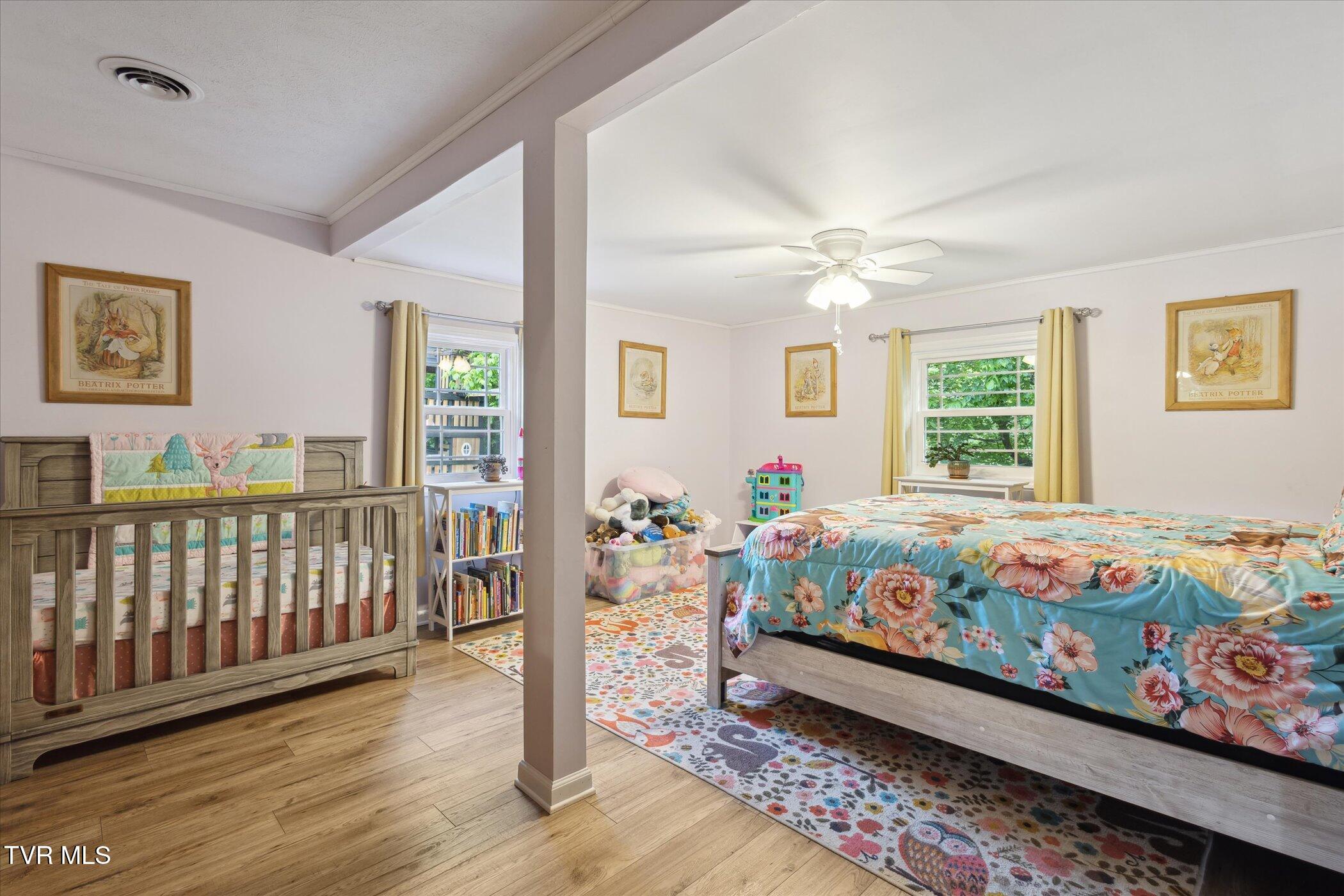 324 Hayes Road, Bluff City, Tennessee image 23
