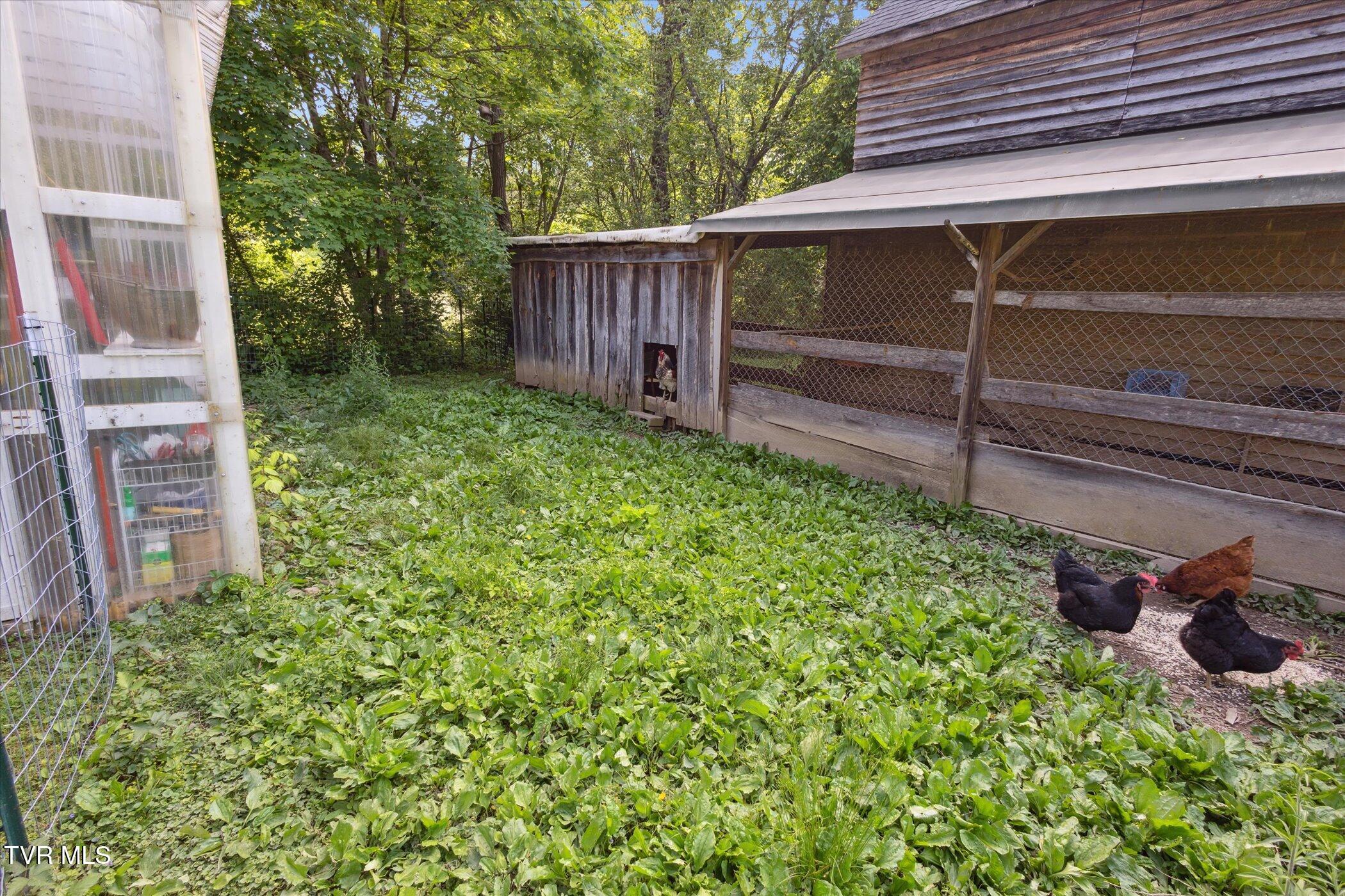 324 Hayes Road, Bluff City, Tennessee image 7