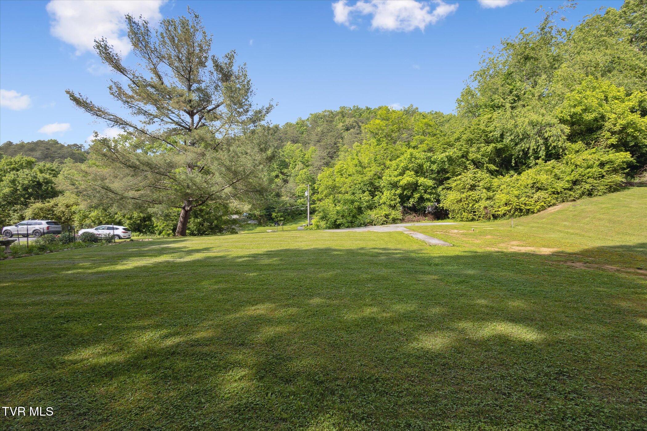 324 Hayes Road, Bluff City, Tennessee image 34