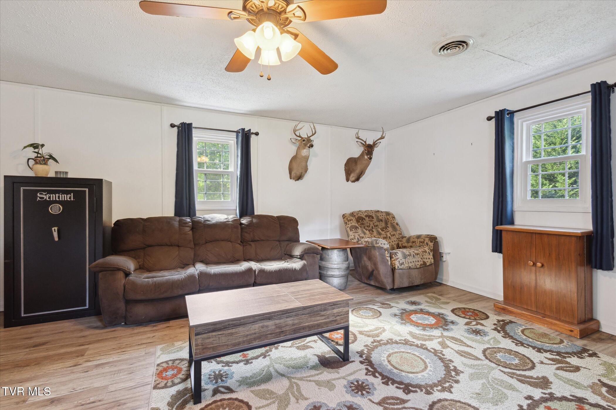 324 Hayes Road, Bluff City, Tennessee image 9