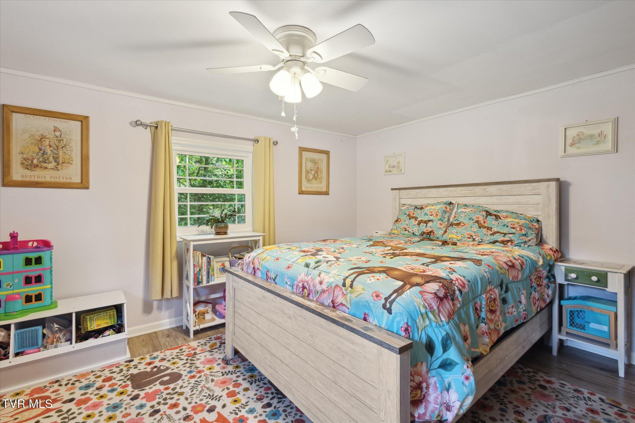 324 Hayes Road, Bluff City, Tennessee image 22