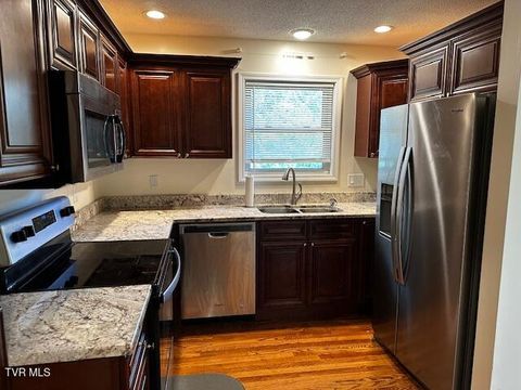 Tiny photo for 3448 Mckinley Road, Johnson City, TN 37604 (MLS # 9986461)