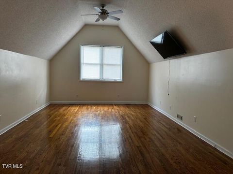 Tiny photo for 3448 Mckinley Road, Johnson City, TN 37604 (MLS # 9986461)