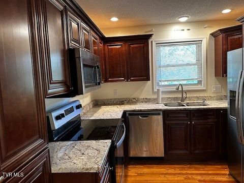 Tiny photo for 3448 Mckinley Road, Johnson City, TN 37604 (MLS # 9986461)