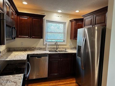 Tiny photo for 3448 Mckinley Road, Johnson City, TN 37604 (MLS # 9986461)