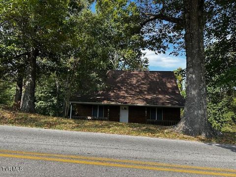 Tiny photo for 3448 Mckinley Road, Johnson City, TN 37604 (MLS # 9986461)