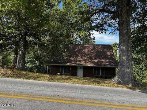 Tiny photo for 3448 Mckinley Road, Johnson City, TN 37604 (MLS # 9986461)