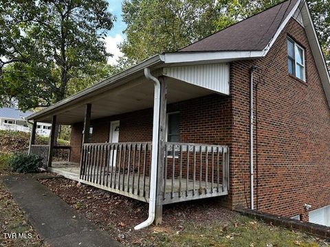 Tiny photo for 3448 Mckinley Road, Johnson City, TN 37604 (MLS # 9986461)