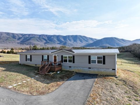 Photo of 3620 Sunnydale Road, Greeneville, TN 37743 (MLS # 9991167)