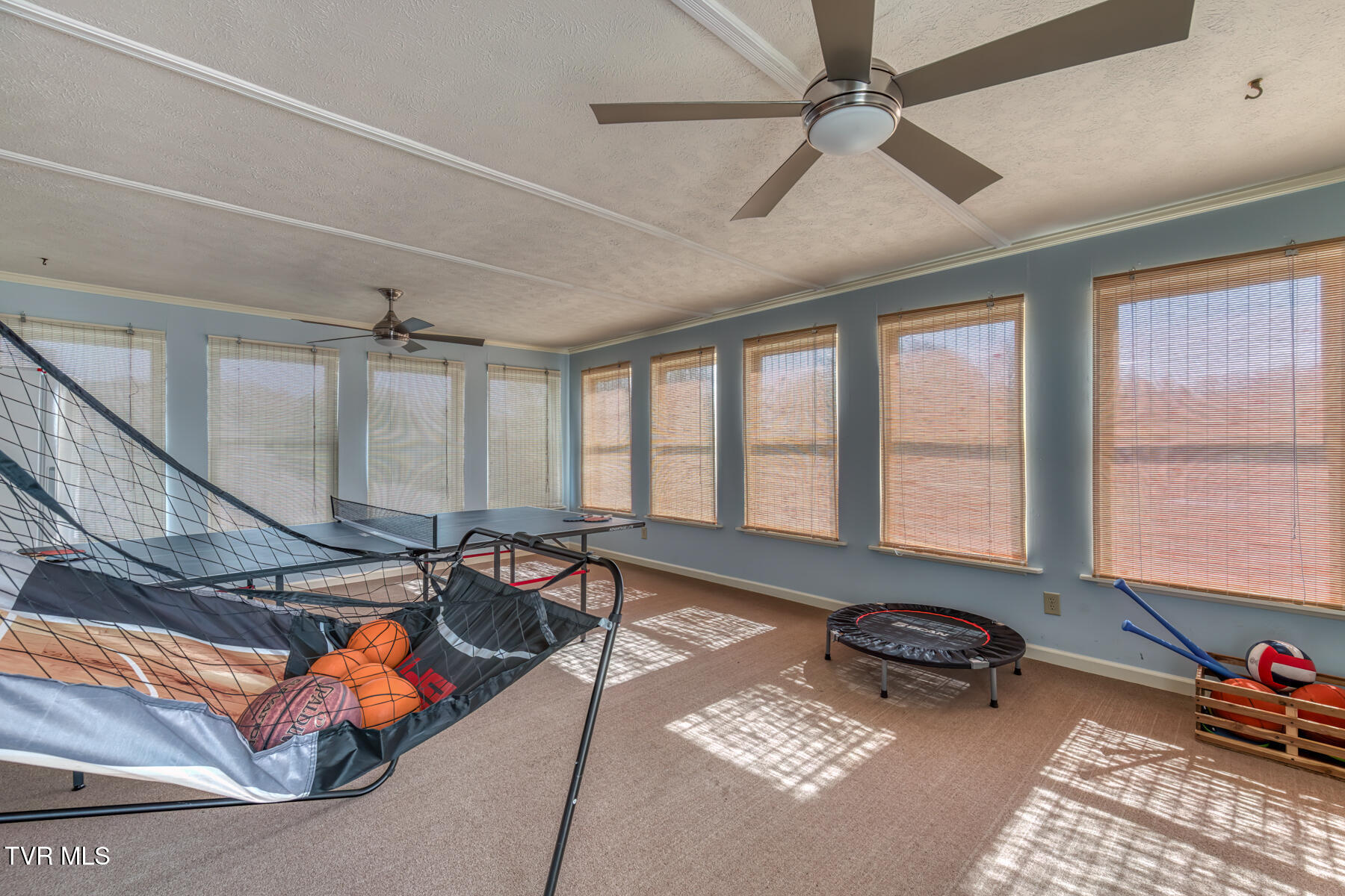 941 Meadow Lane, Kingsport, Tennessee image 22