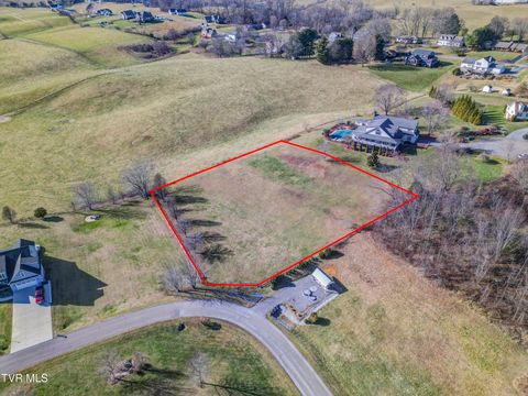 Vacant Land For Sale - LOT 6 Trotters Lane<br/> Abingdon, VA 24211