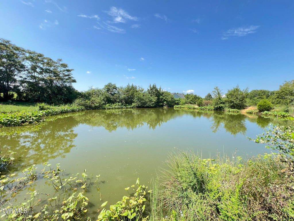 Photo of Tbd Saint Clair Road, Whitesburg, TN 37891 (MLS # 9984739)