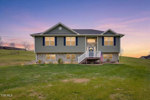4170 Chuckey Pike Chuckey TN 37641