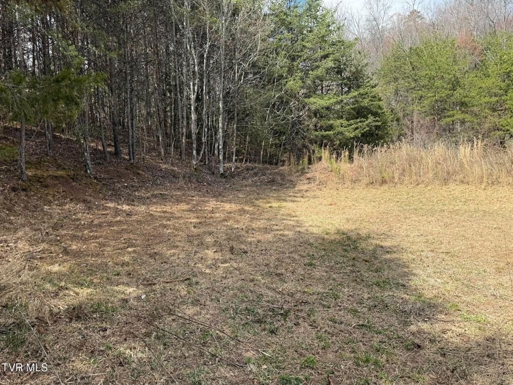 Photo of 0 Dyer Hollow Road, Greeneville, TN 37745 (MLS # 9992070)