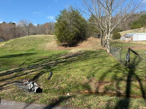Vacant Land For Sale - Dyer Hollow Road<br/> Greeneville, TN 37745