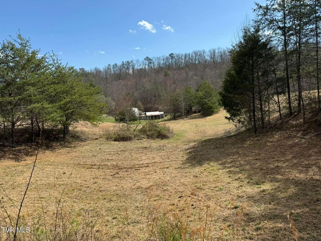 Photo of 0 Dyer Hollow Road, Greeneville, TN 37745 (MLS # 9992070)
