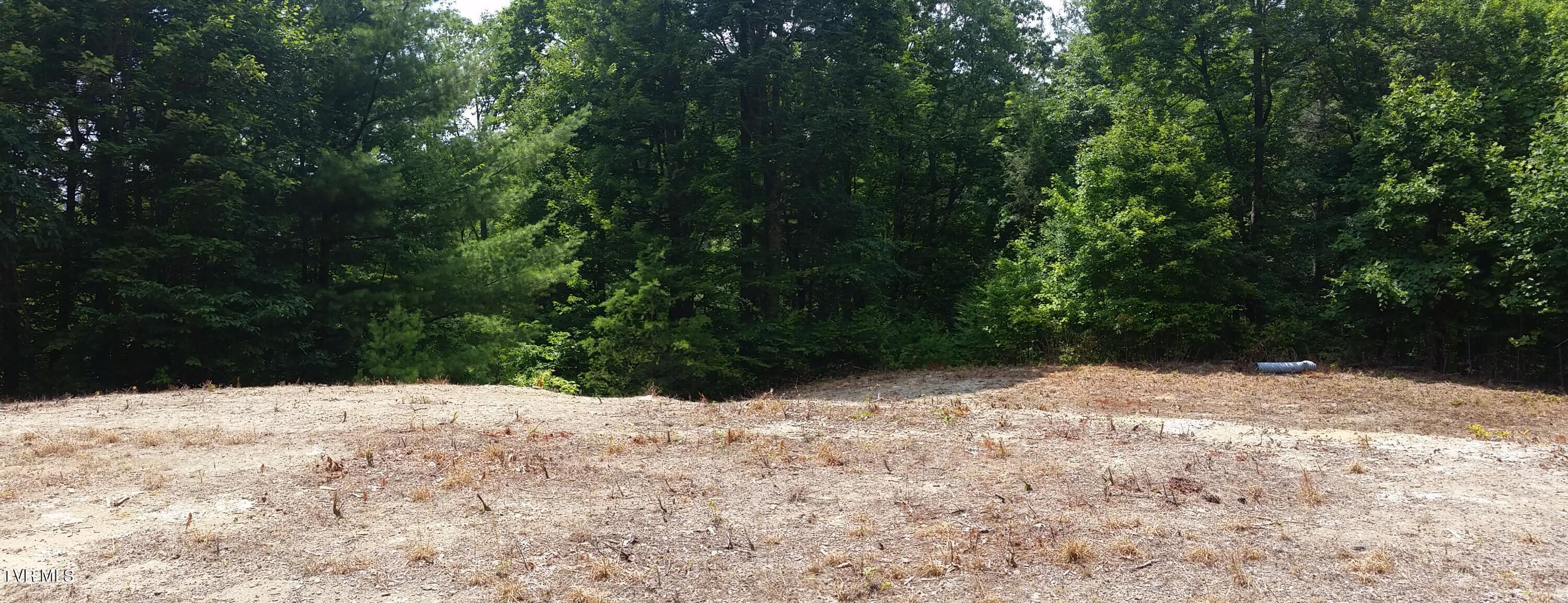 Tbd Heartwood Lane, Butler, Tennessee image 13