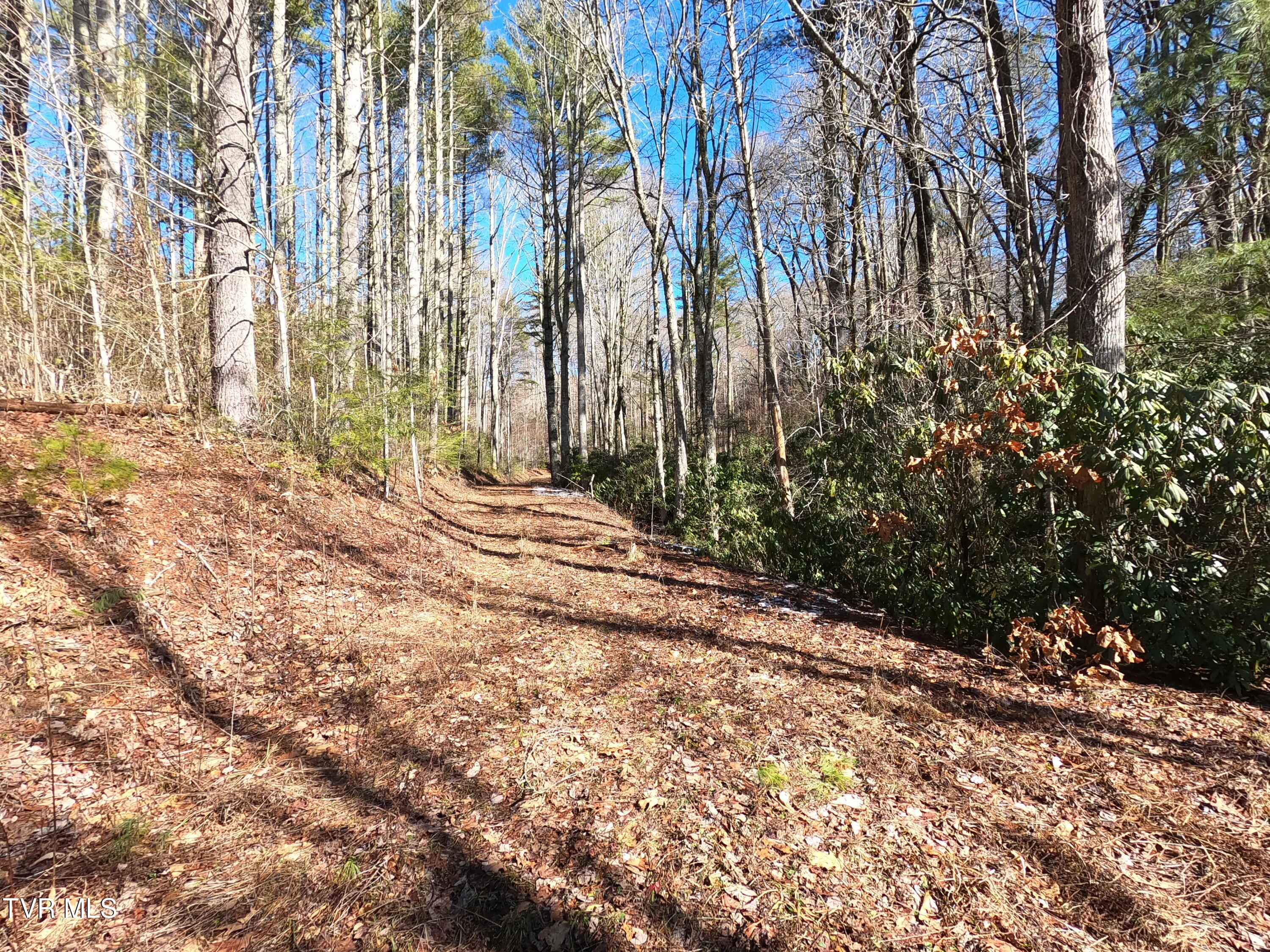 Tbd Heartwood Lane, Butler, Tennessee image 26