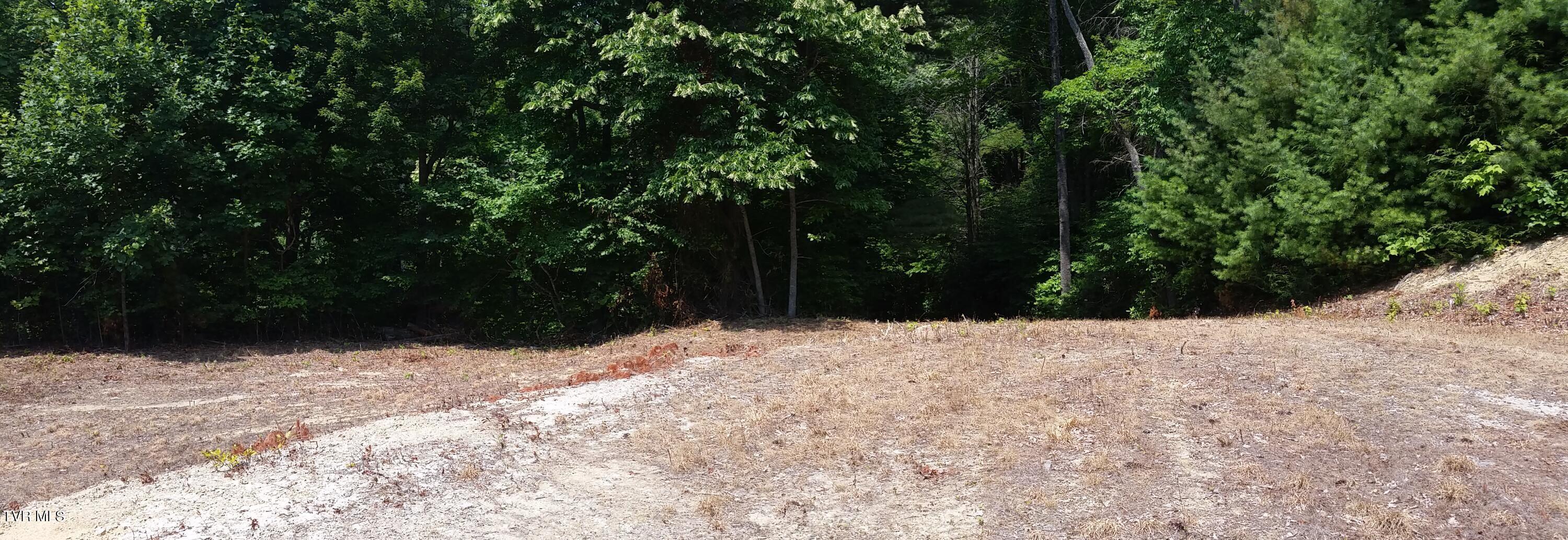 Tbd Heartwood Lane, Butler, Tennessee image 12