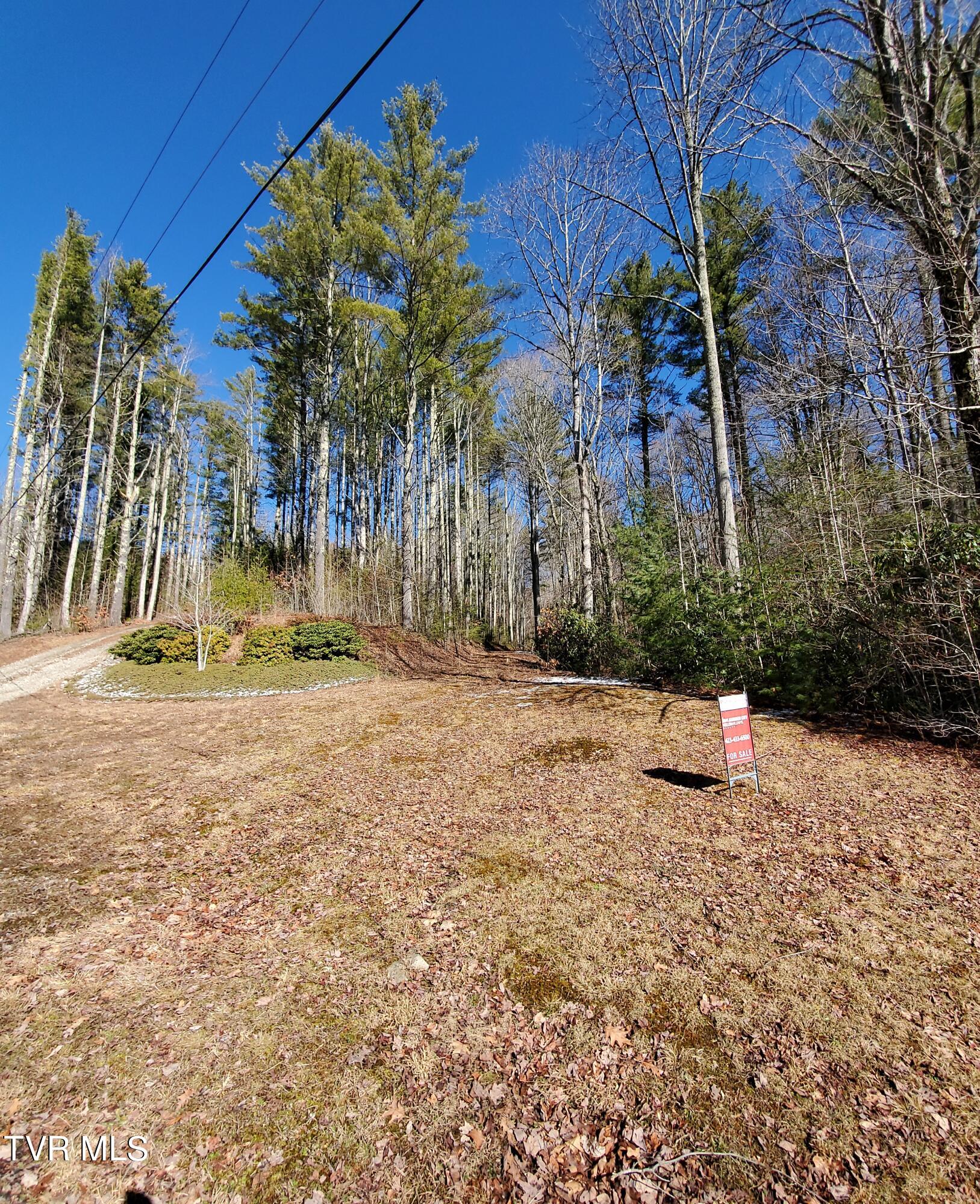 Tbd Heartwood Lane, Butler, Tennessee image 25