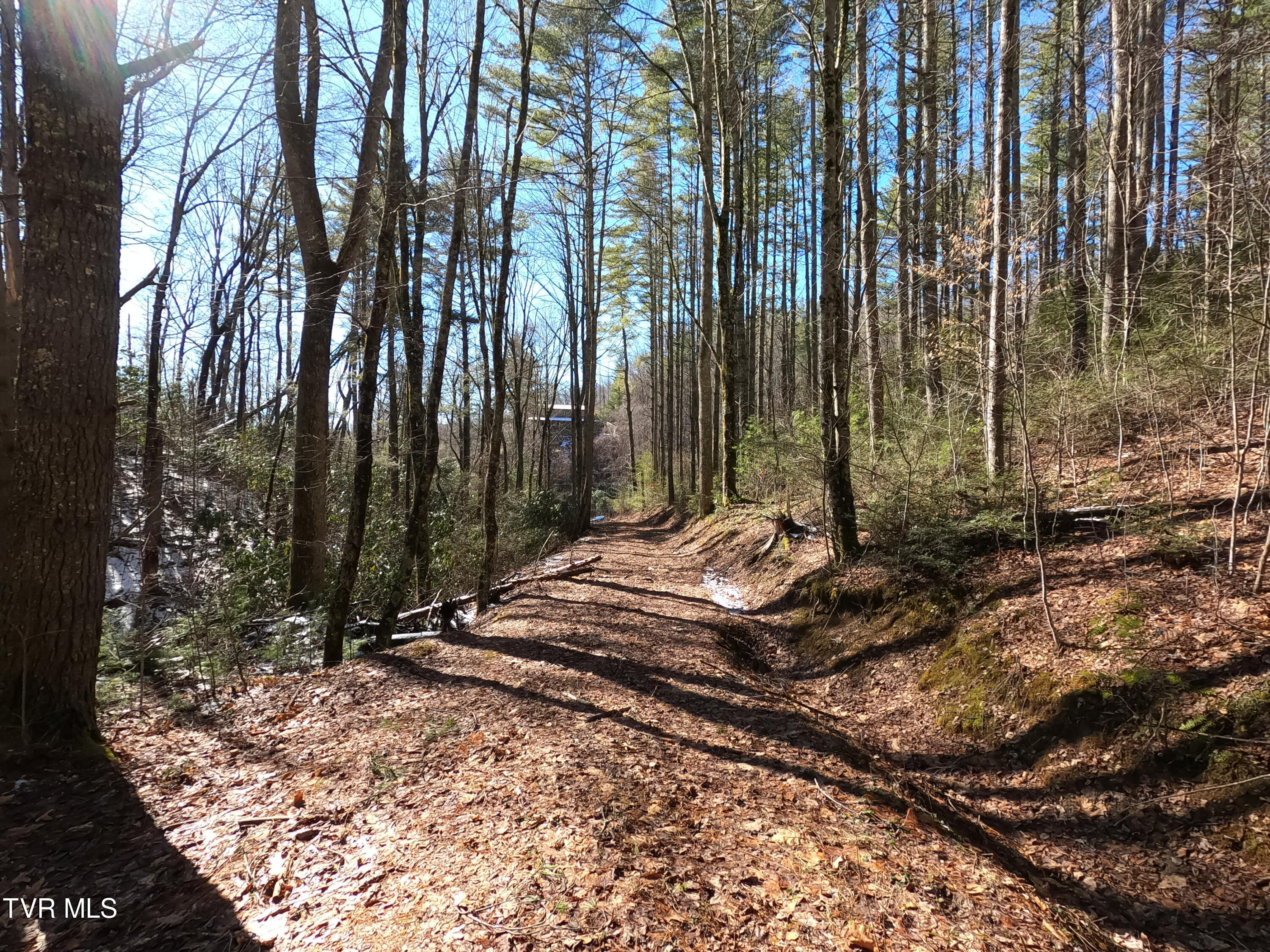 Tbd Heartwood Lane, Butler, Tennessee image 43