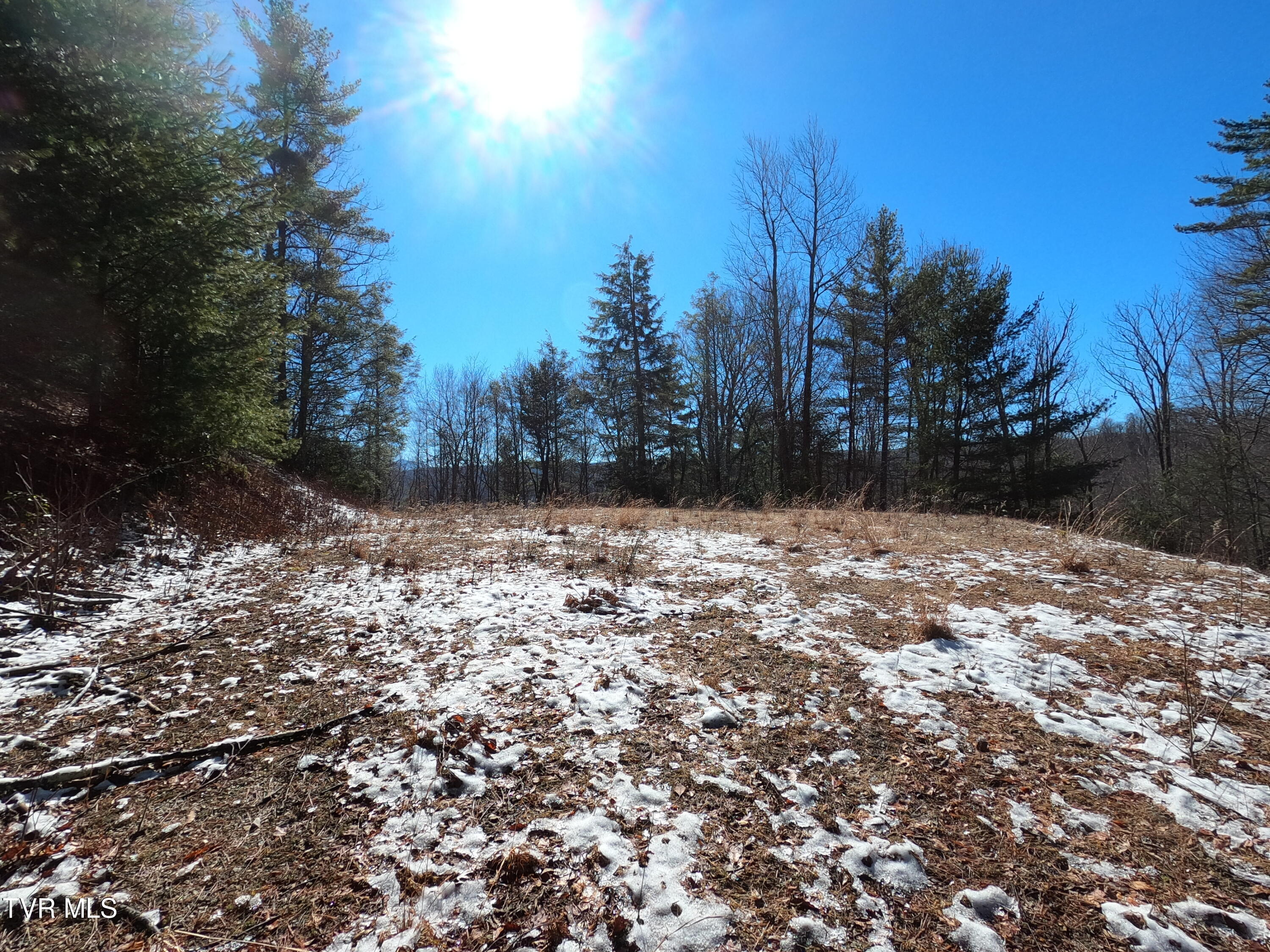Tbd Heartwood Lane, Butler, Tennessee image 35