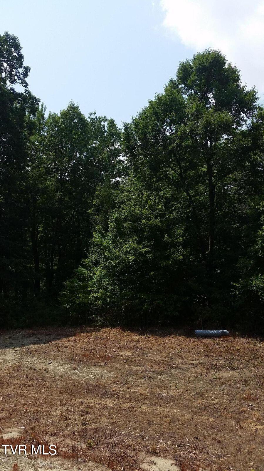Tbd Heartwood Lane, Butler, Tennessee image 15
