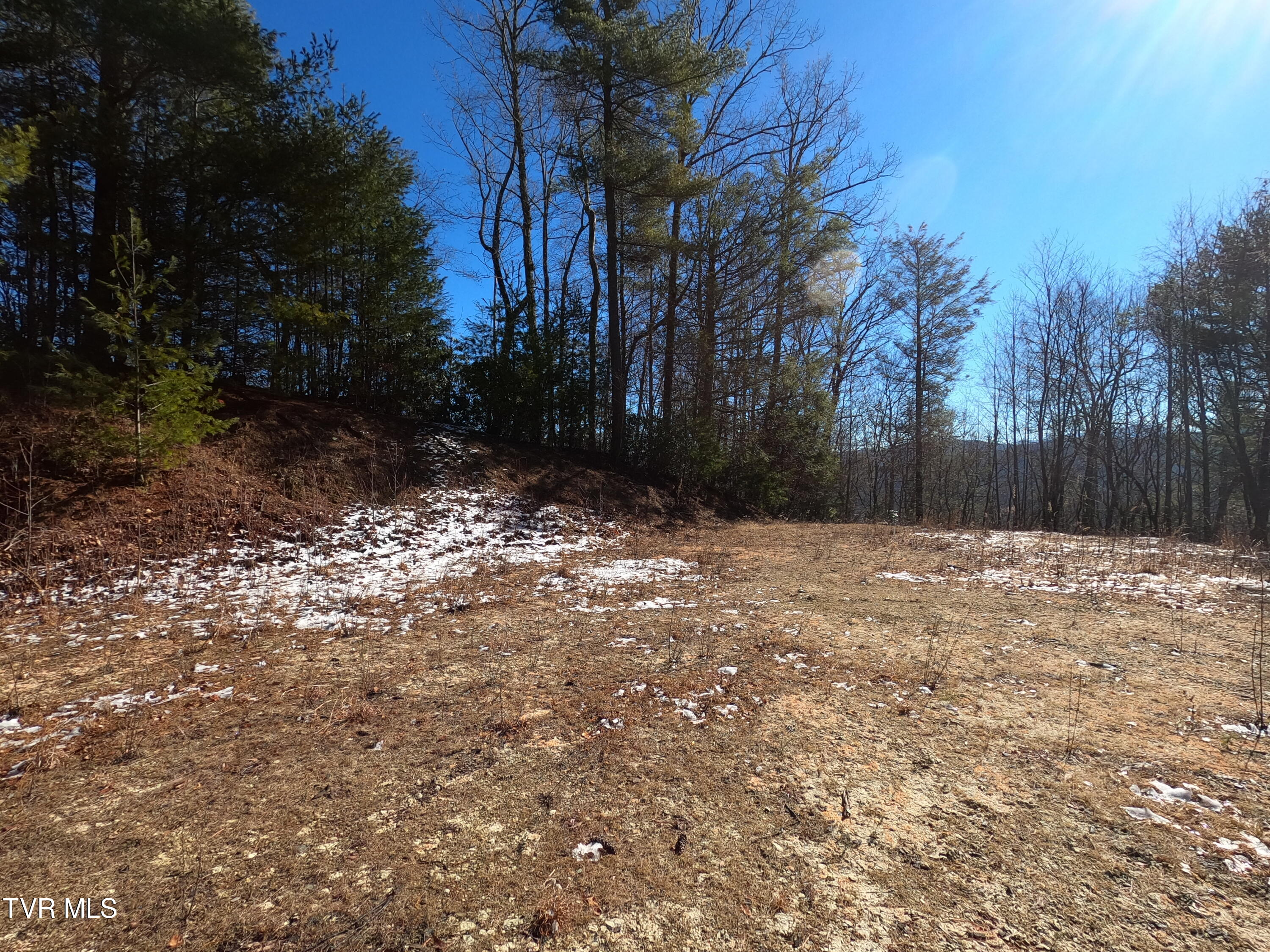 Tbd Heartwood Lane, Butler, Tennessee image 32
