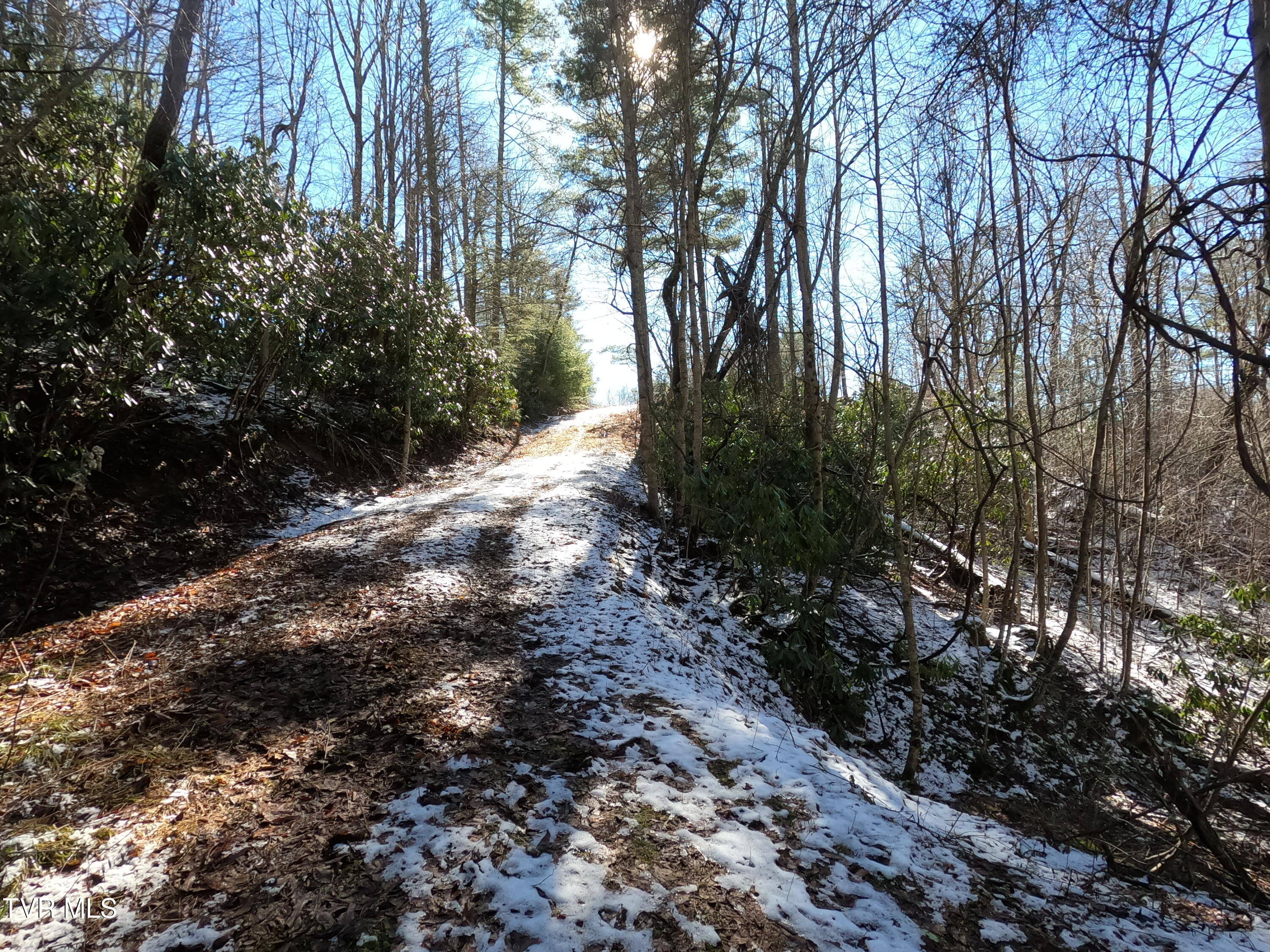 Tbd Heartwood Lane, Butler, Tennessee image 31