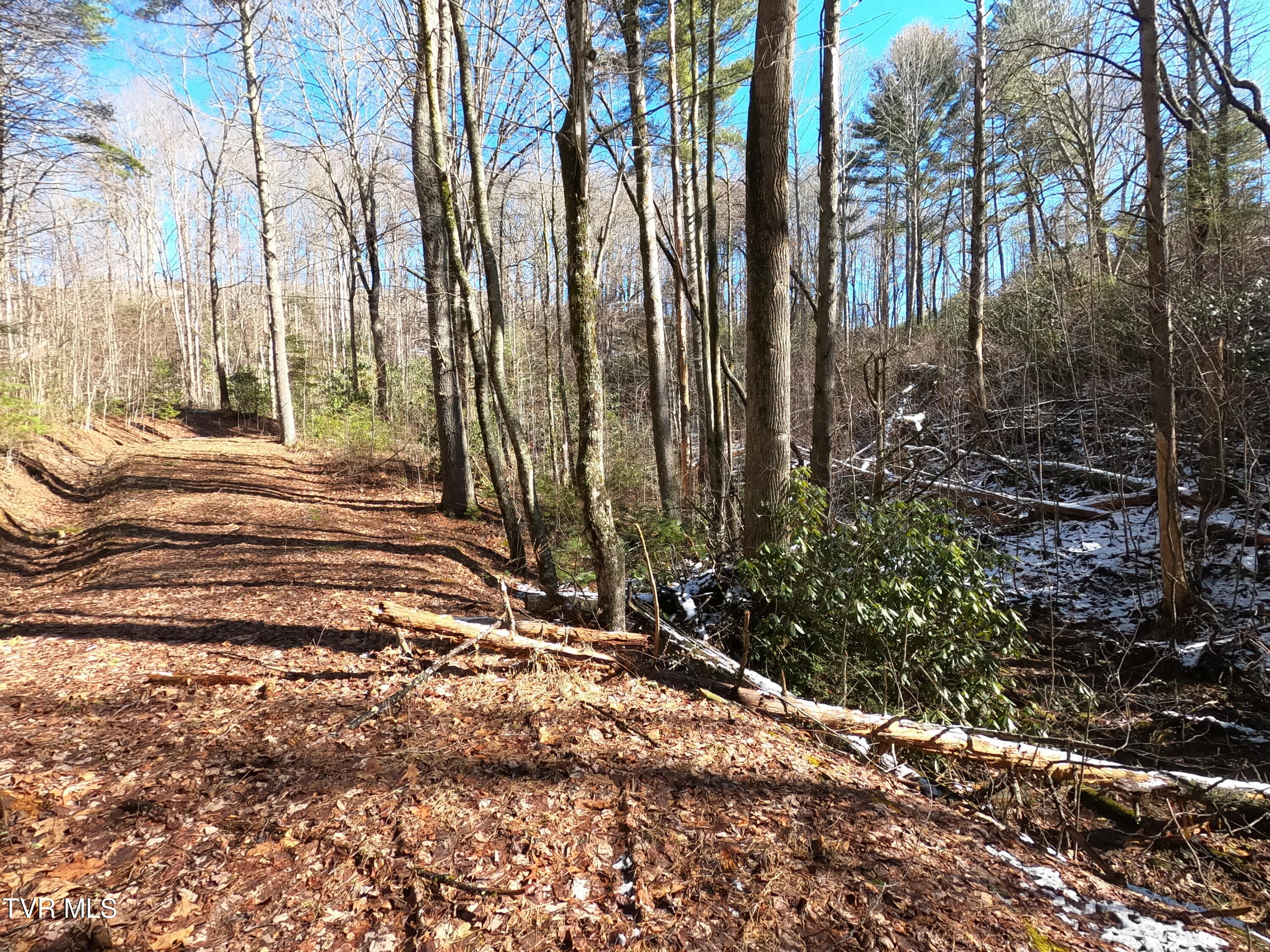 Tbd Heartwood Lane, Butler, Tennessee image 29