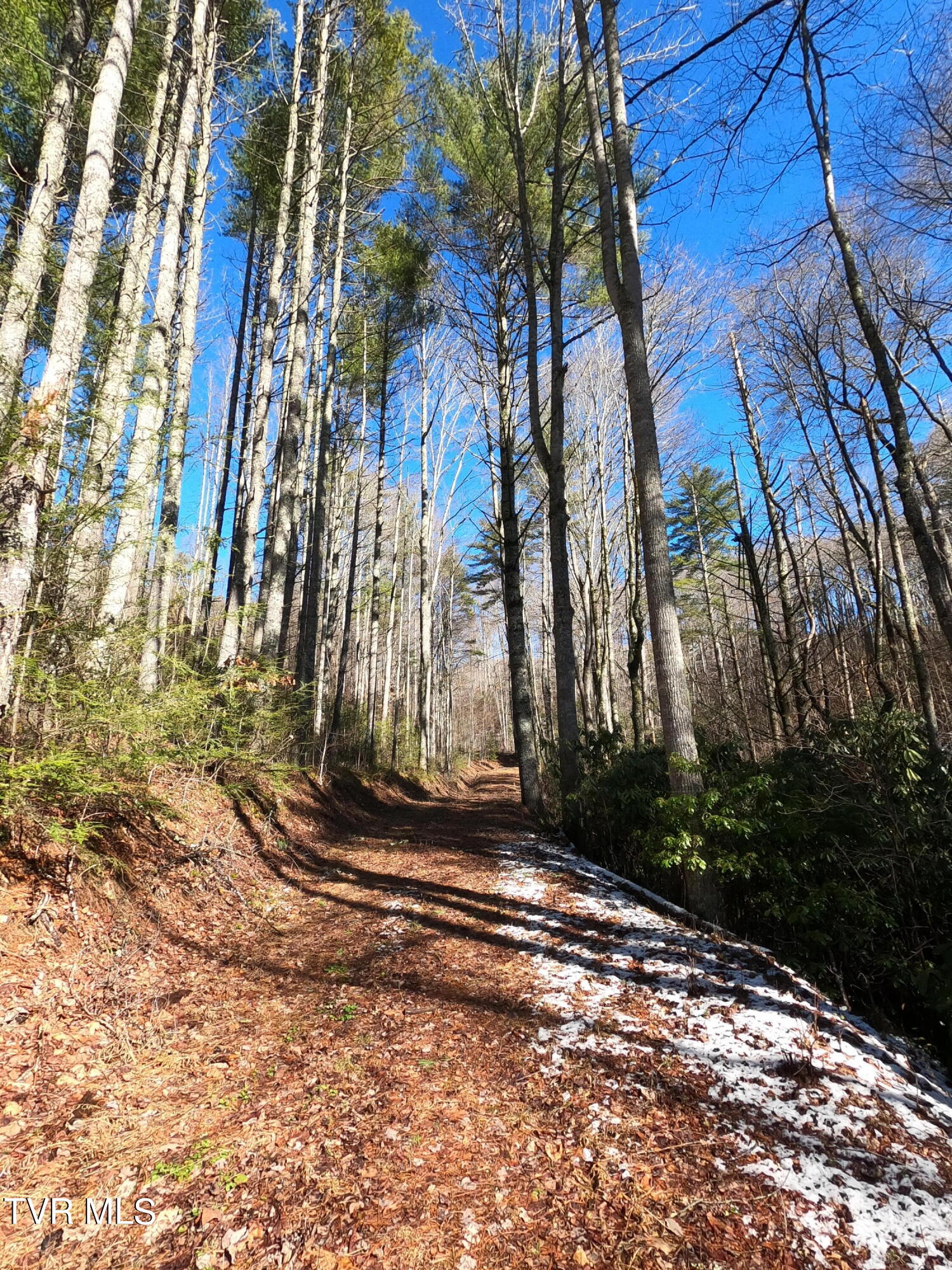 Tbd Heartwood Lane, Butler, Tennessee image 27